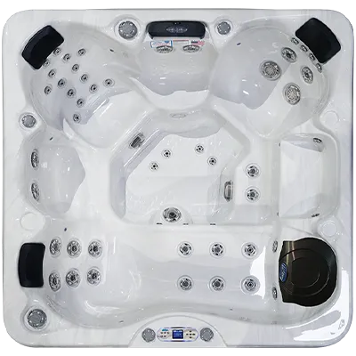 Avalon EC-849L hot tubs for sale in Bemus Point