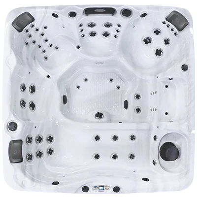 Avalon EC-867L hot tubs for sale in Bemus Point